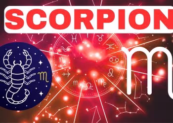 Scorpion